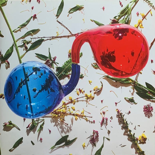 Dirty Projectors - Lamp Lit Prose