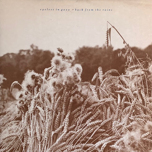 Eyeless In Gaza - Back From The Rains