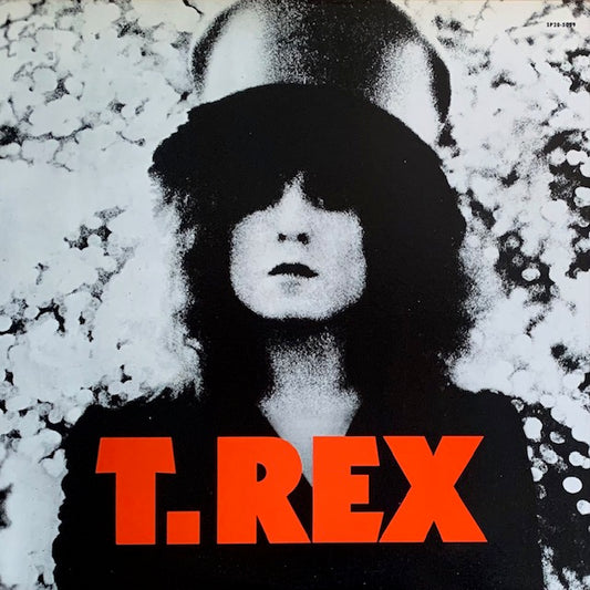 T. Rex - The Slider