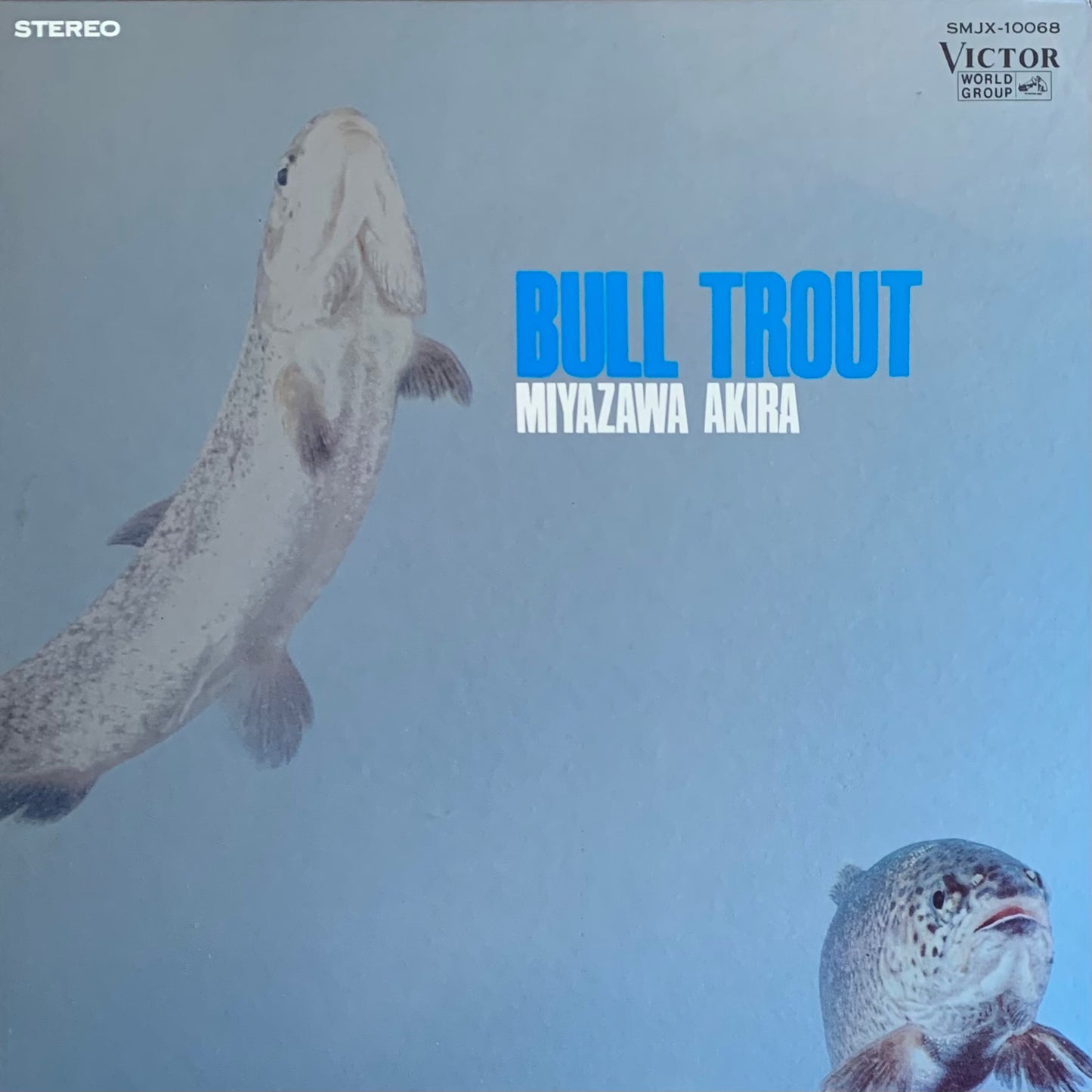 宮沢昭 - いわな