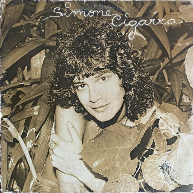 Simone - Cigarra