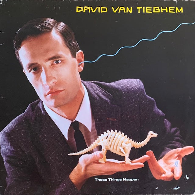 David Van Tieghem - These Things Happen