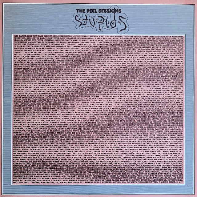 Stupids - The Peel Sessions