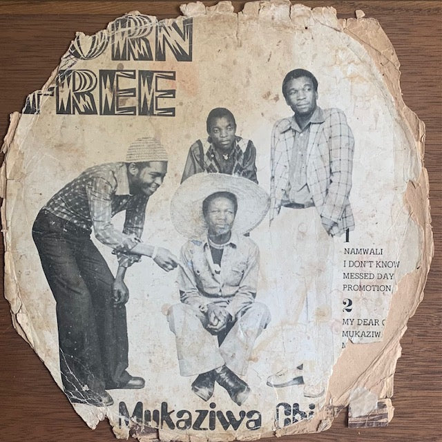 Born Free - Mukaziwa Chingoni