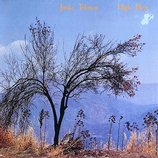 Jukka Tolonen - High Flyin'