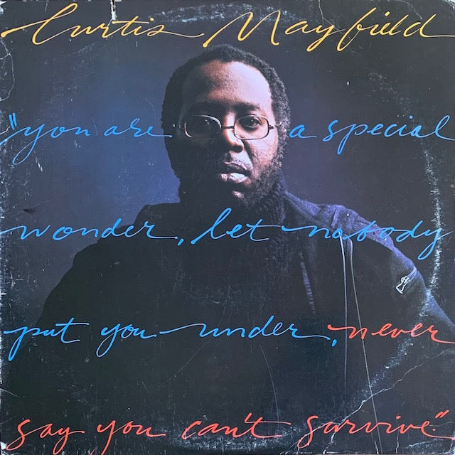 Curtis Mayfield - Never Say You Can't Survive