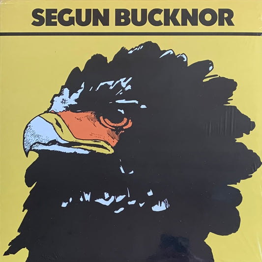Segun Bucknor - Segun Bucknor