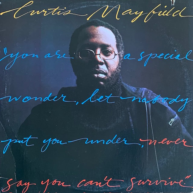 Curtis Mayfield - Never Say You Can't Survive