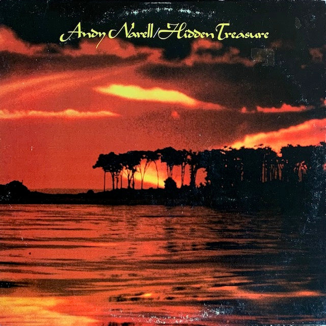Andy Narell - Hidden Treasure