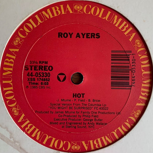 Roy Ayers - Hot