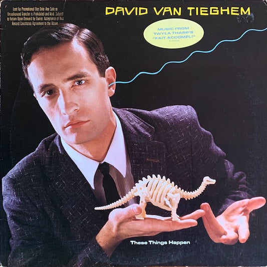 David Van Tieghem - These Things Happen