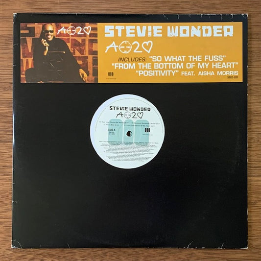 Stevie Wonder-A Time 2 Love