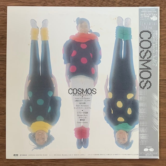 Cosmos-Bourbon Suite – hair & music parlour FAM