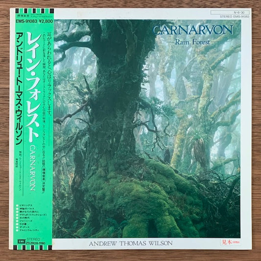 Andrew Thomas Wilson-Carnarvon – Rain Forest