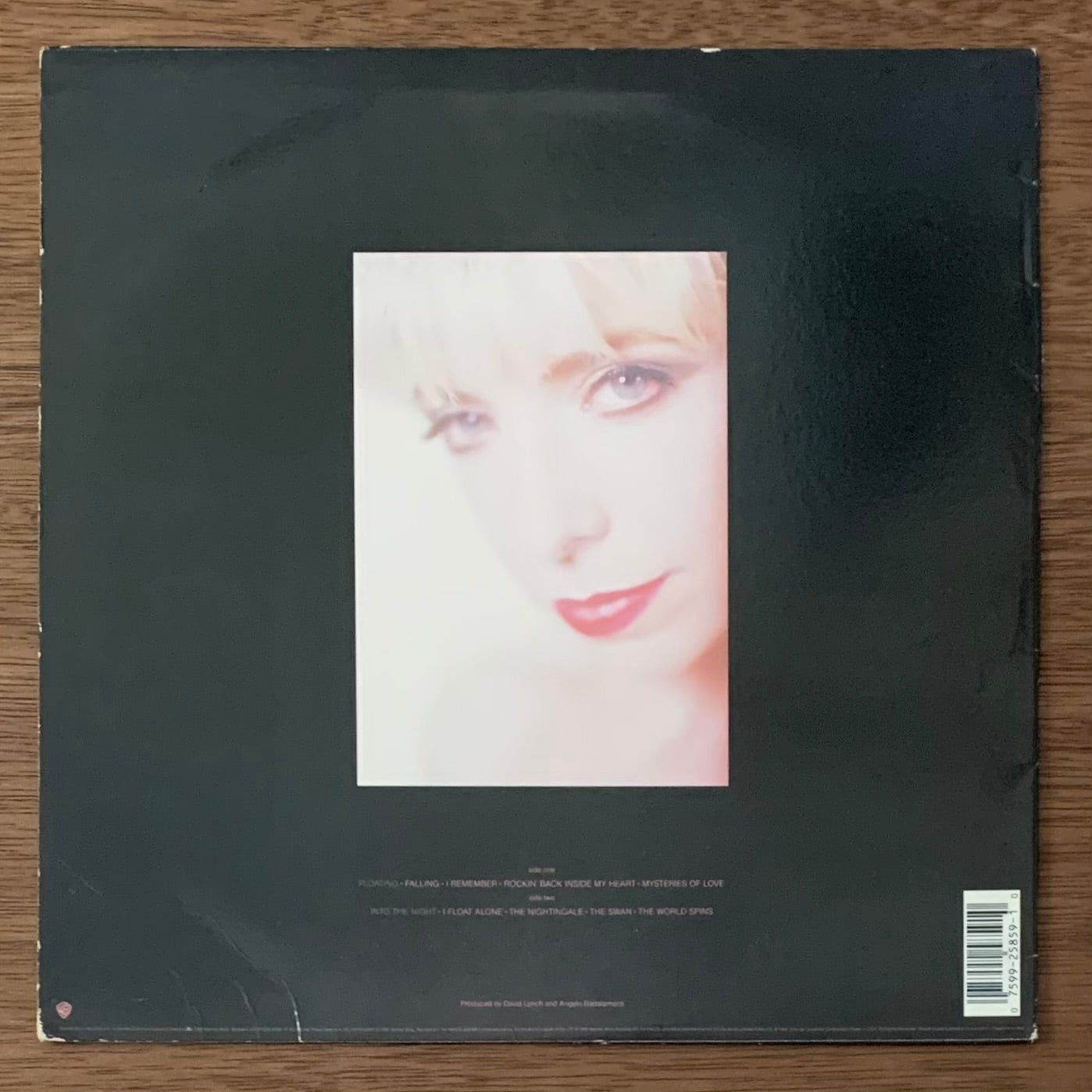 Julee Cruise-Floating Into The Night