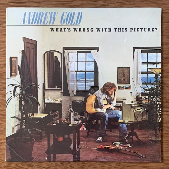 Andrew Gold - What's Wrong With This Picture? (自画像)