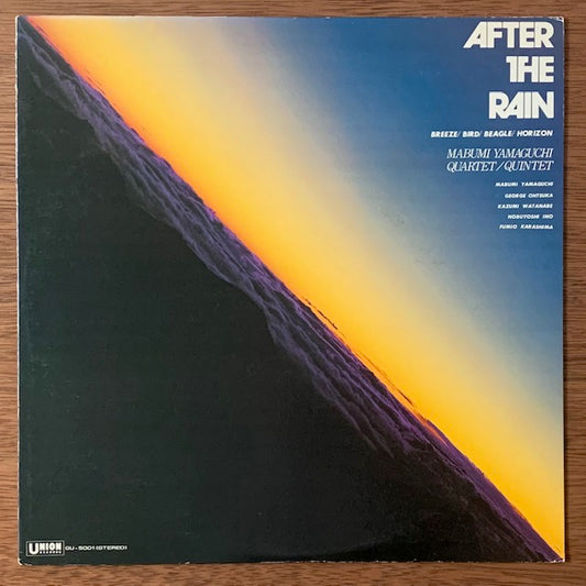 山口真文 - After The Rain