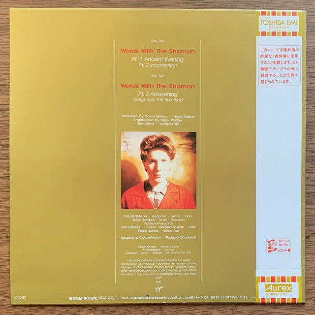 David Sylvian - Words With The Shaman（シャーマンの言葉）