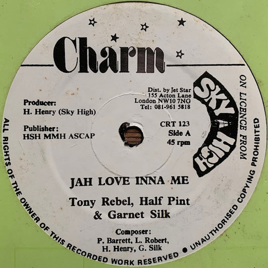 Tony Rebel / Half Pint / Garnet Silk - Jah Love Inna We